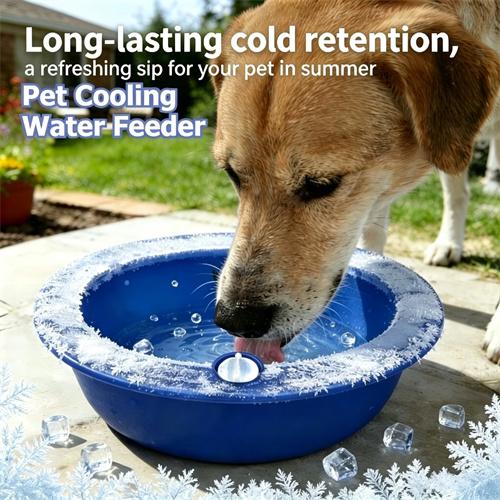 New Design Plastic Dog Cat Water Bowl