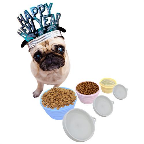 Hot Selling Silicone Collapsible Dog Bowl